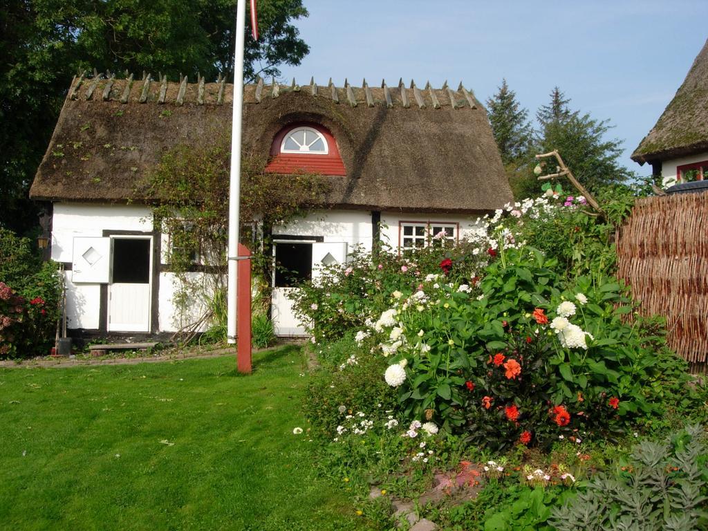 Travel Back In Time Guest House Nyord Exterior photo